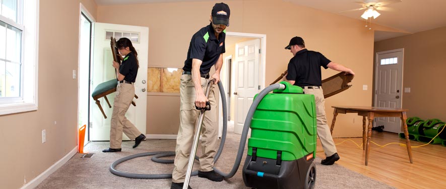 Bala Cynwyd, PA cleaning services